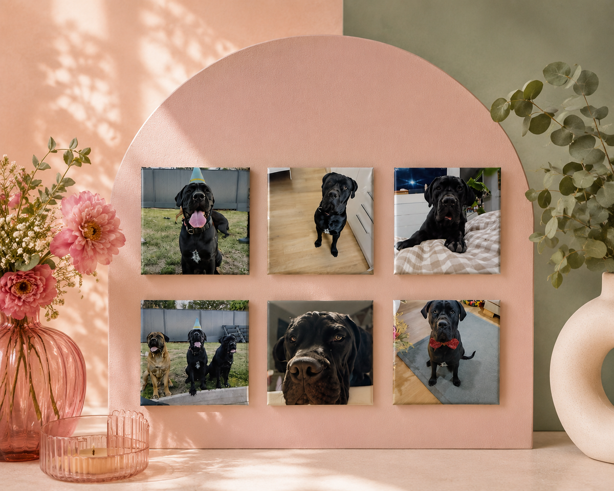     Personalised square photo magnets featuring pet photos, printed in Australia by Little Snapshot Co